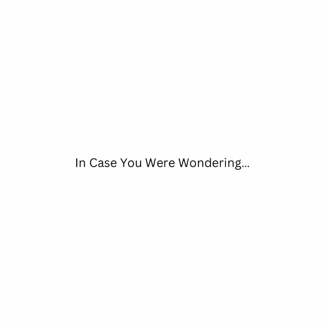 'In Case You Were Wondering...' cover art