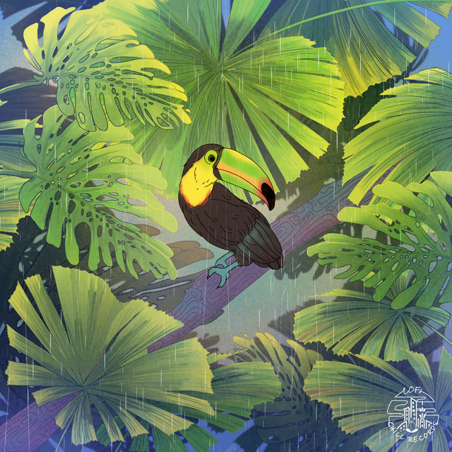 'Rain Tropical' cover art