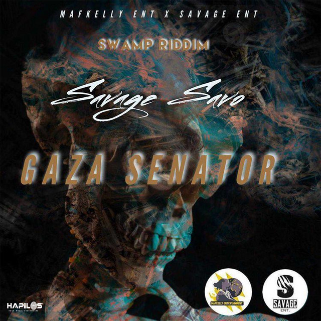 'Gaza Senator' cover art
