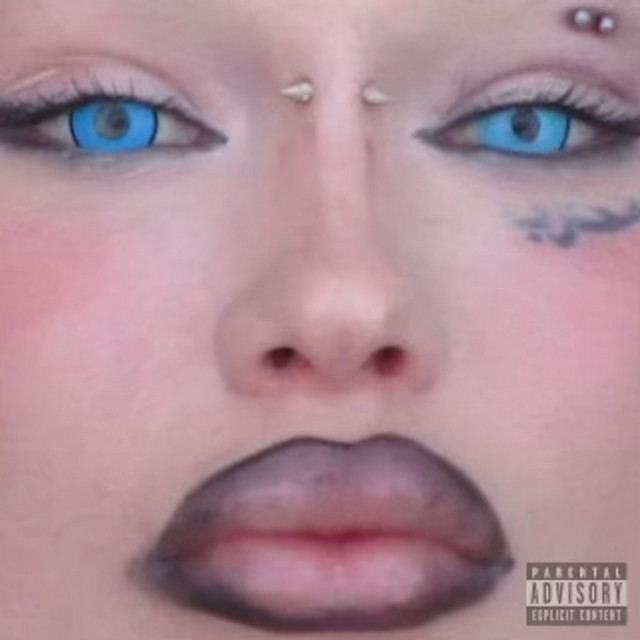 'Chinchillas' cover art