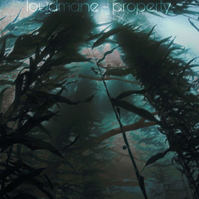 'property' cover art