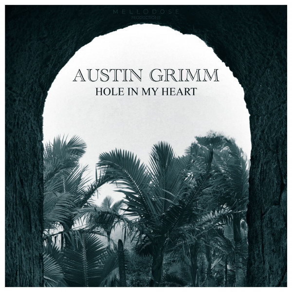 'Hole in My Heart' cover art