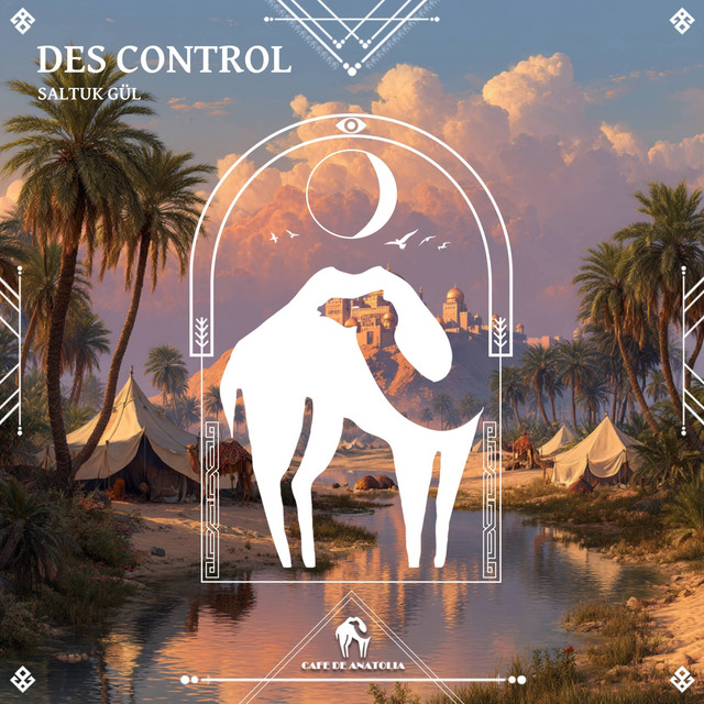 'Des Control' cover art