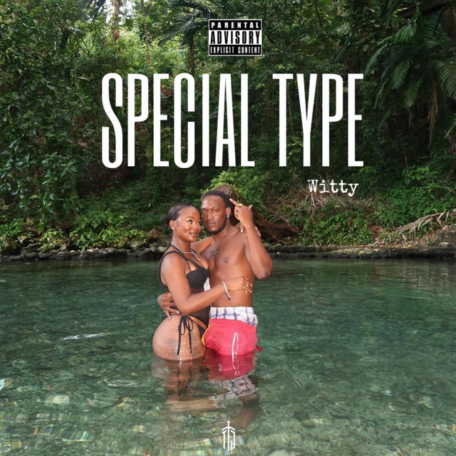 'Special Type' cover art