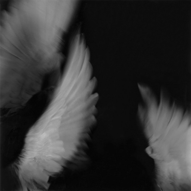 'death is tired of waiting' cover art