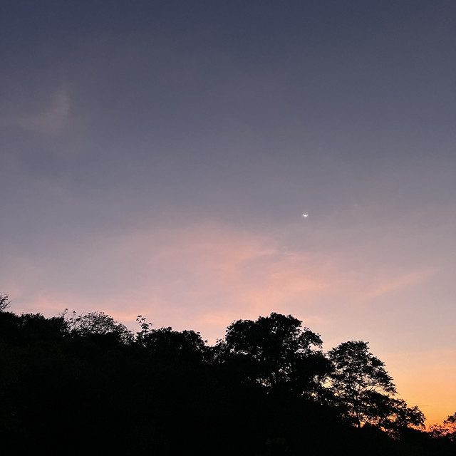 'late sunset' cover art