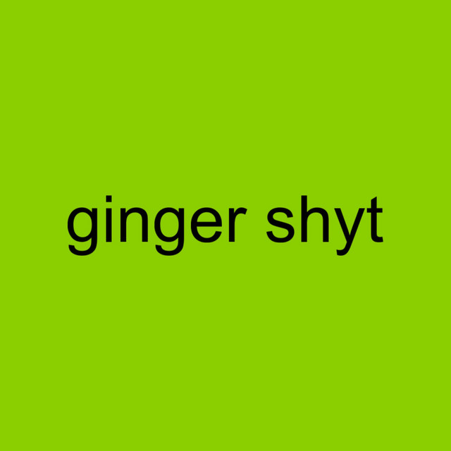 'Ginger Shyt' cover art
