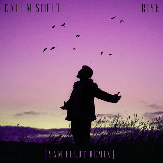 'Rise (Sam Feldt Remix)' cover art