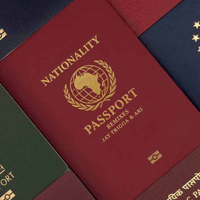 'Nationality (Rammor Remix)' cover art
