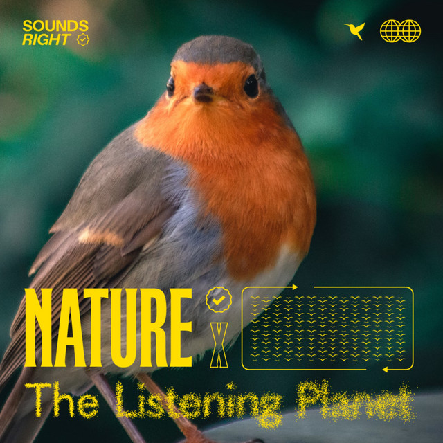 The Listening Planet - Official Artist Photo