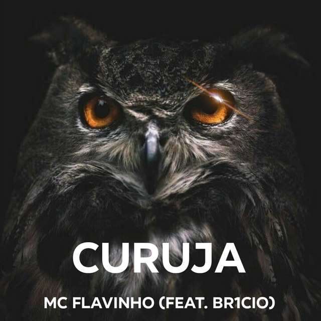 'Coruja' cover art