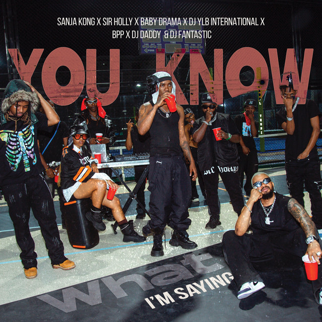 'You Know What I'm Saying' cover art