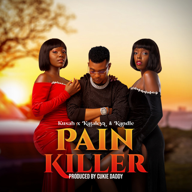 'Pain Killer' cover art