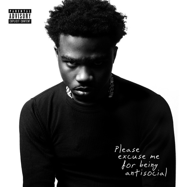'Please Excuse Me for Being Antisocial' cover art