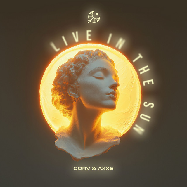'Live in The Sun (Sped Up & Slowed + Reverb)' cover art