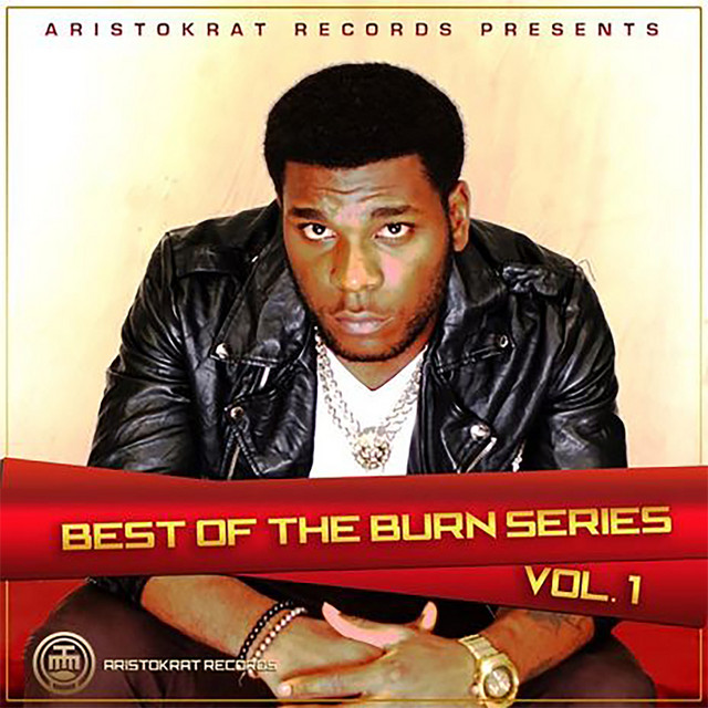 'Best of Burn Series, Vol. 1' cover art