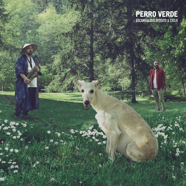 'PERRO VERDE' cover art