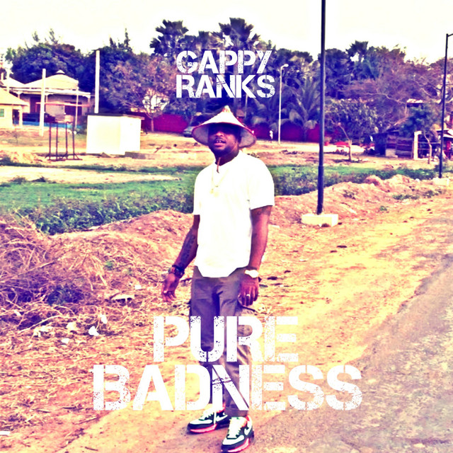 'Pure Badness' cover art