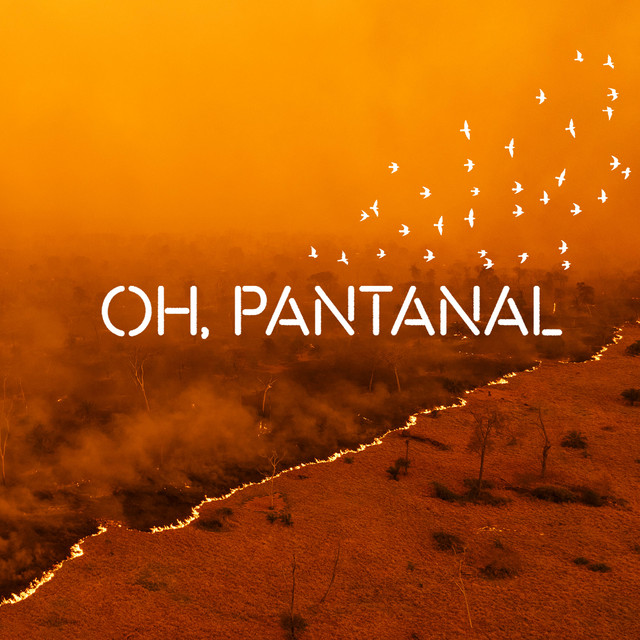 'Oh, Pantanal' cover art