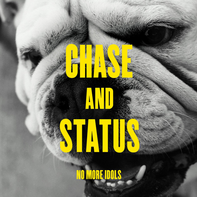 'No More Idols' cover art