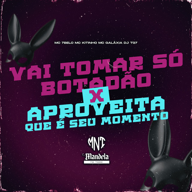 'Vai Tomar Só Botadão X Aproveita Que É Seu Momento' cover art