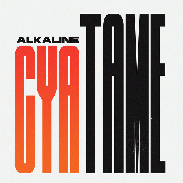 'Cya Tame' cover art