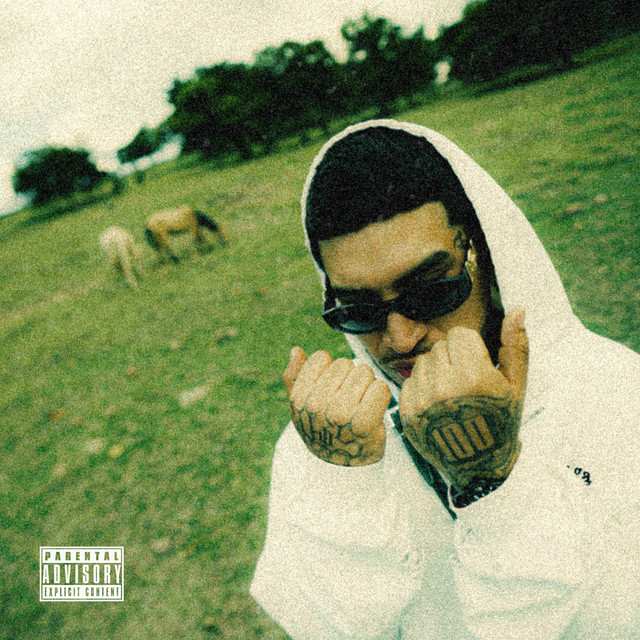 'Envejecerás conmigo' cover art