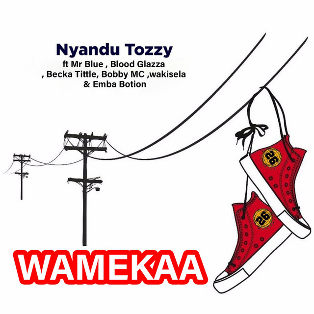 'Wamekaa' cover art