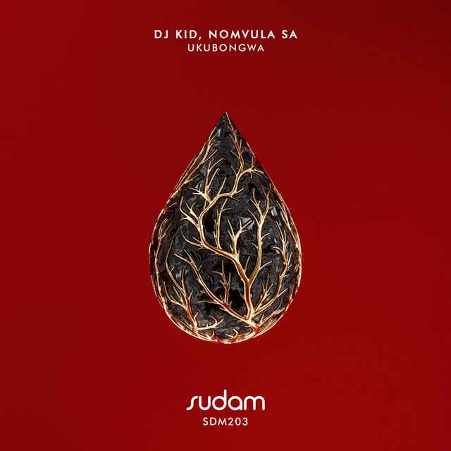 'Ukubongwa' cover art