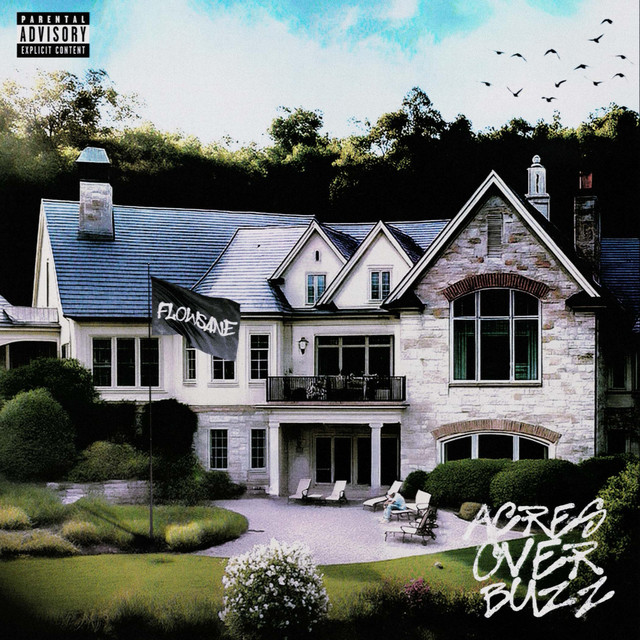 'Acres Over Buzz' cover art