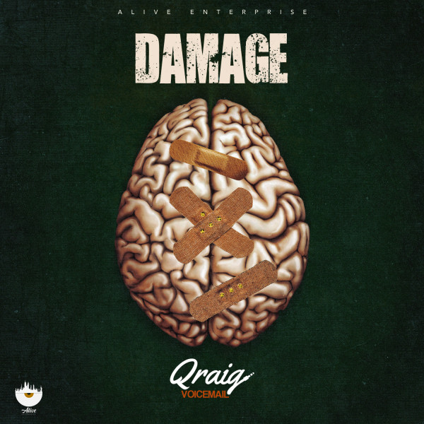 'Damage' cover art