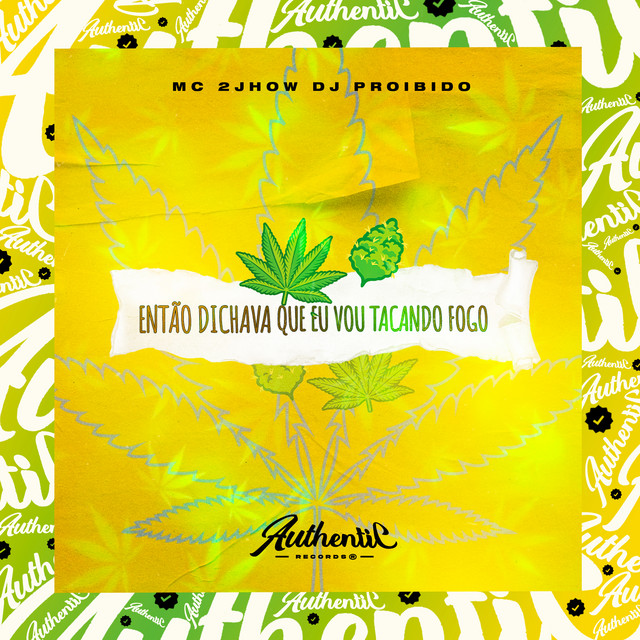 'Então Dichava Que Eu Vou Tacando Fogo' cover art
