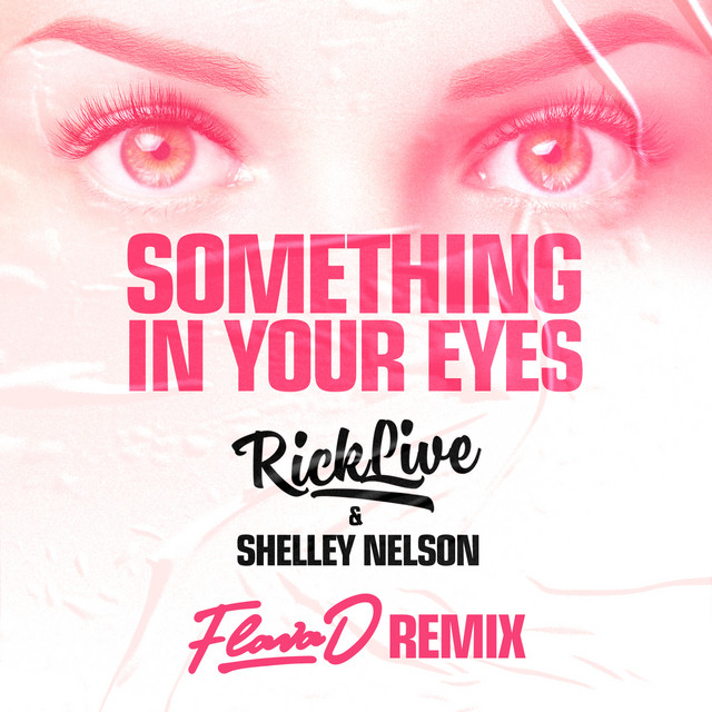 'Something In Your Eyes (Flava D Remix)' cover art