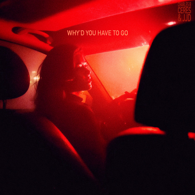 'Why'd You Have To Go' cover art