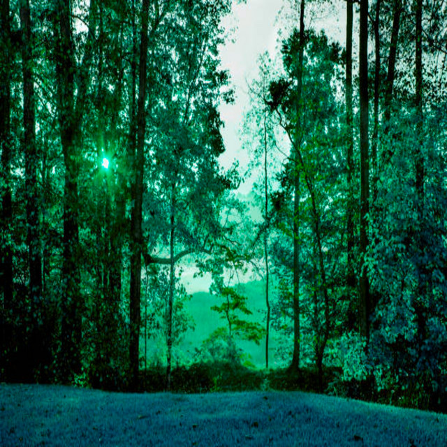 'COUNTRYSIDE (DELUXE)' cover art