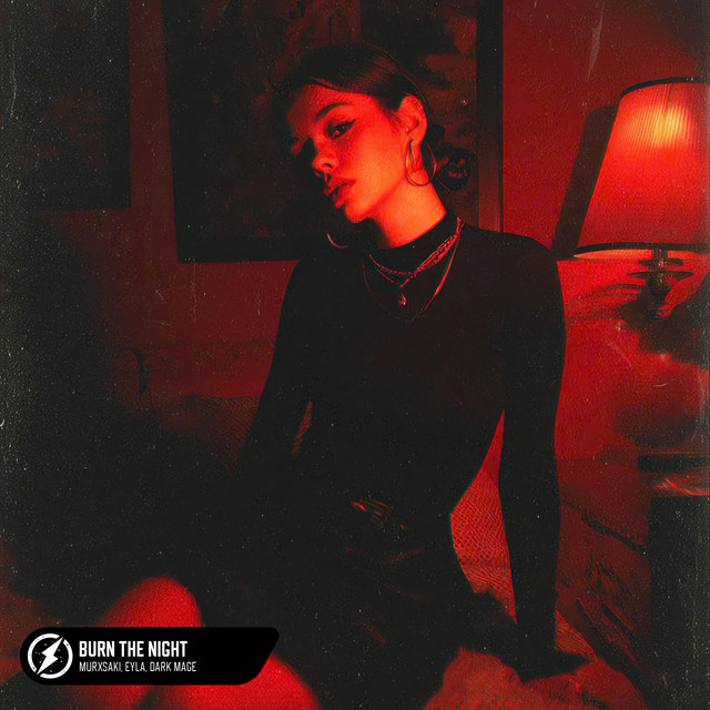 'Burn The Night' cover art