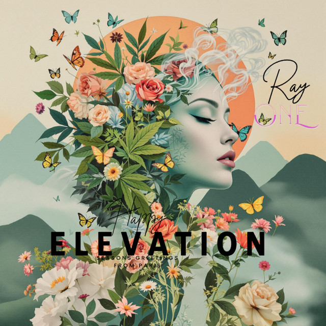 'Elevation' cover art