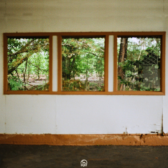 'lily of the valley' cover art