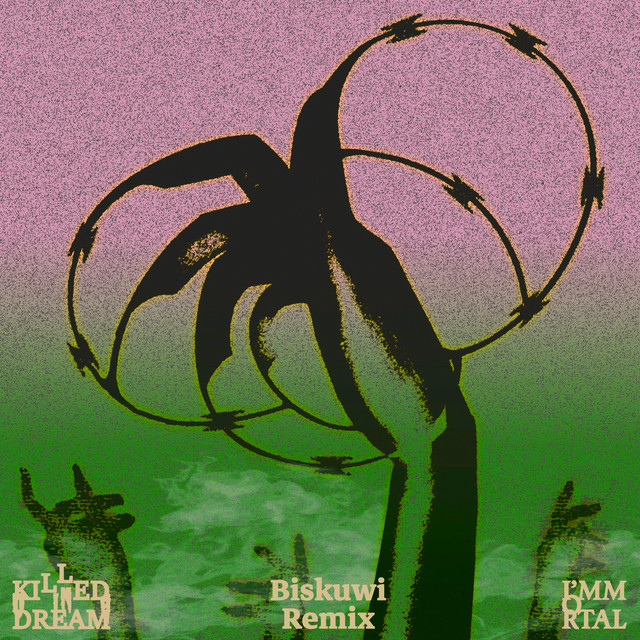 'KILLED U IN A DREAM (biskuwi Remix)' cover art