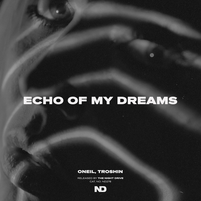 'Echo of my Dreams' cover art