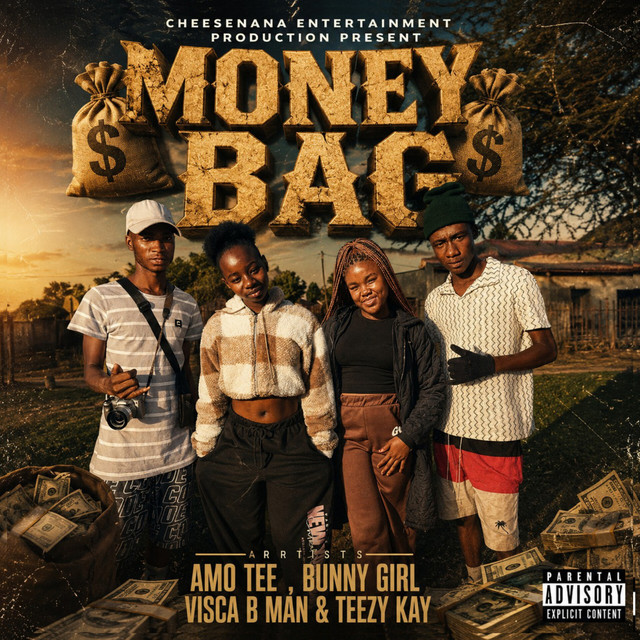 'Money Bag' cover art