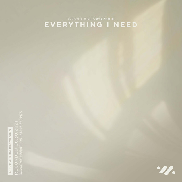 'Everything I Need (Live)' cover art