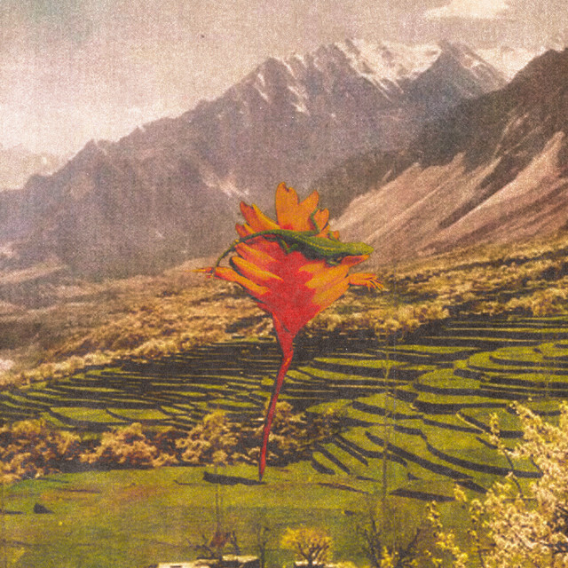 'stand by you' cover art