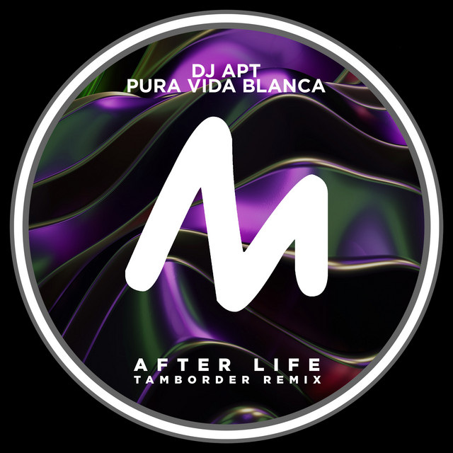 'After Life (Tamborder Remix)' cover art