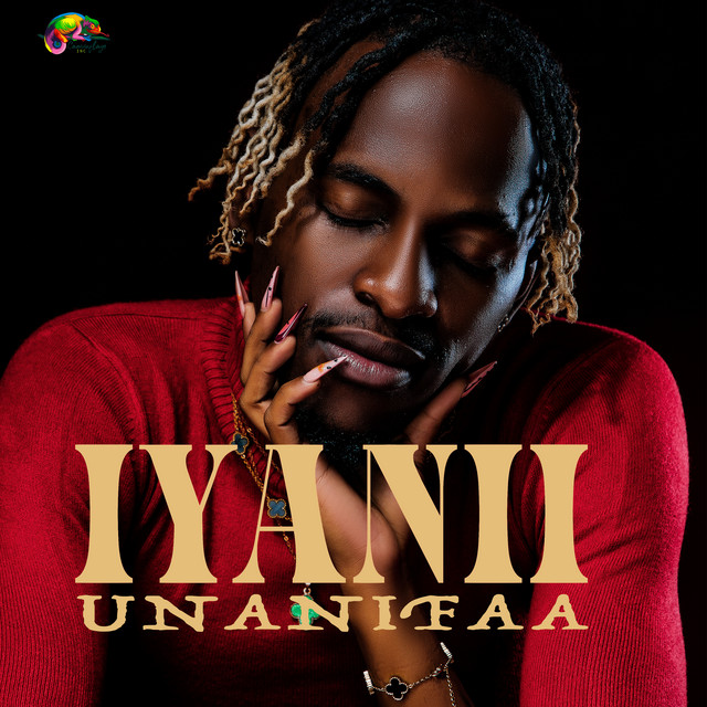 'Unanifaa' cover art