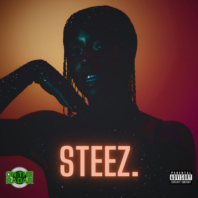 'STEEZ.' cover art