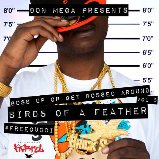 'Birds of a Feather' cover art