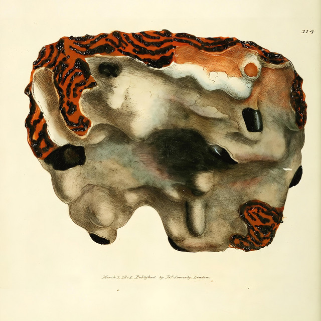 'Sour' cover art