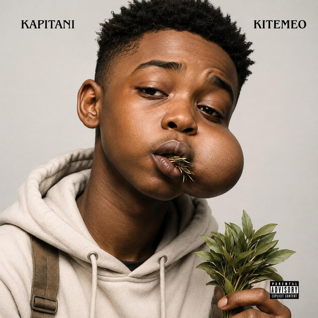 'Kitemeo' cover art
