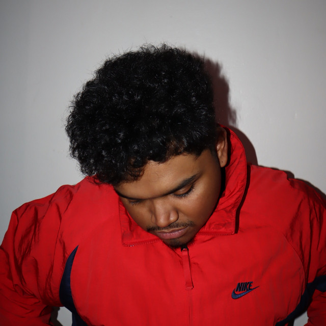 AAV - Official Artist Photo